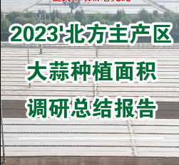 【即將發(fā)布】2023'北方主產(chǎn)區(qū)大蒜種植面積調(diào)研總結(jié)報(bào)告 ()